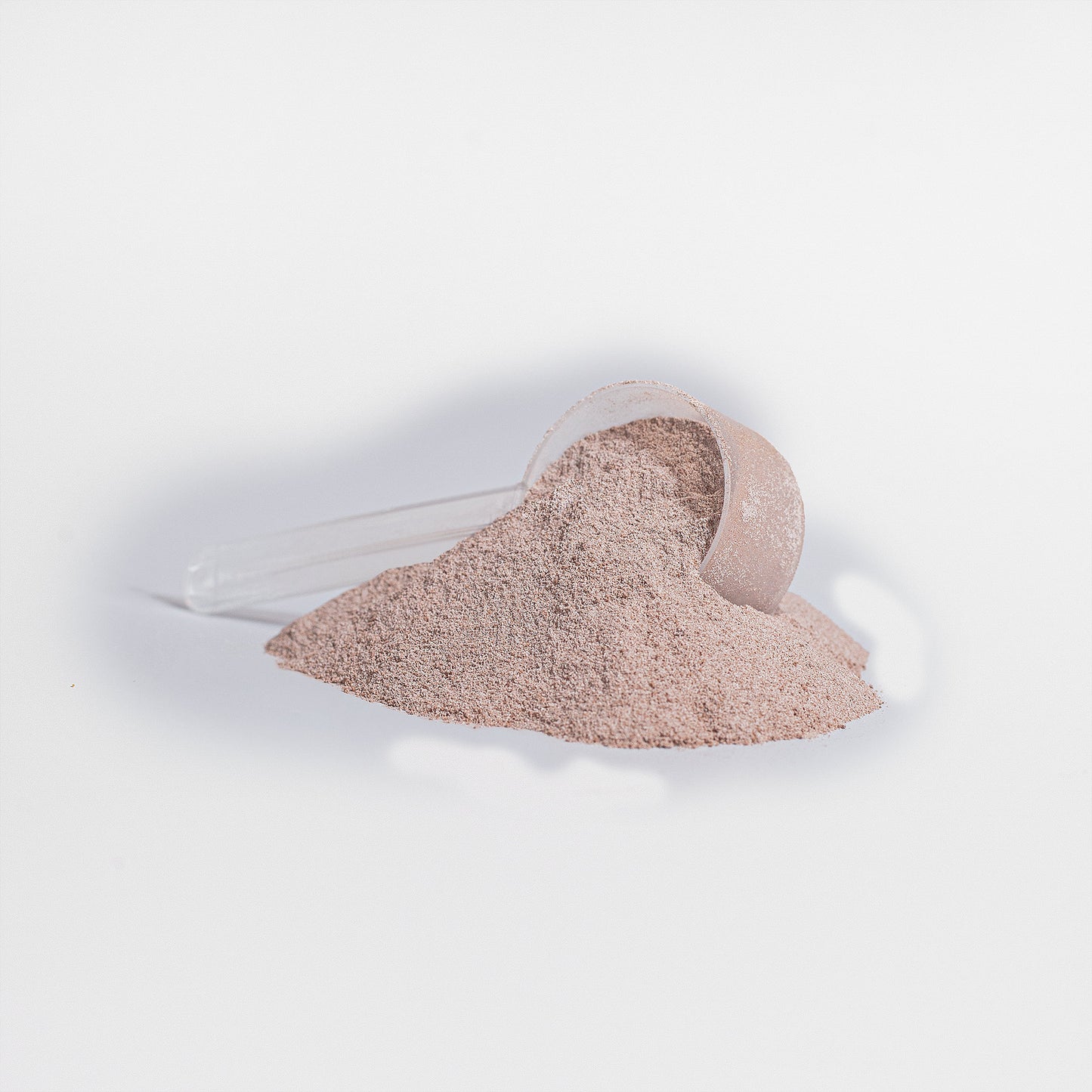 (NEW) Gym Dynamx Whey Plant Base Protein (Vanilla)