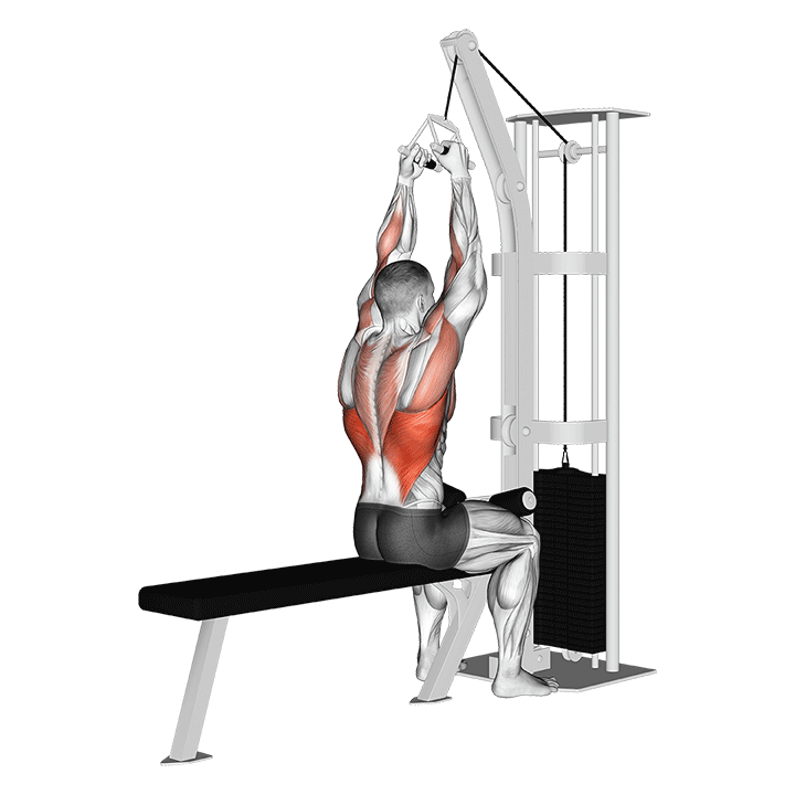 Gym Dynamx T-Bar and V-Bar Cable Machine Attachments