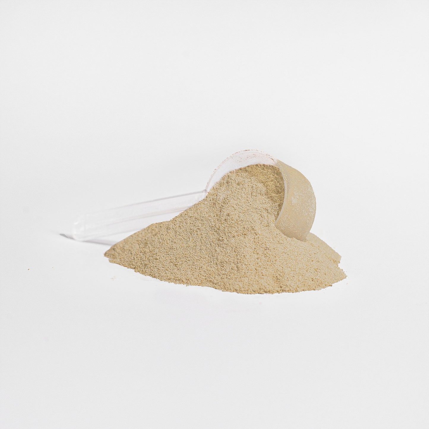 Gym Dynamx Whey Protein Gold Isolate (Vanilla)