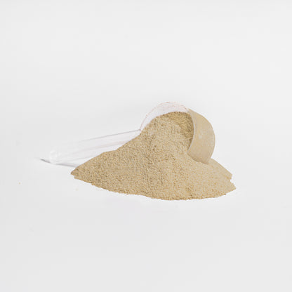 Gym Dynamx Whey Protein Gold Isolate (Vanilla)