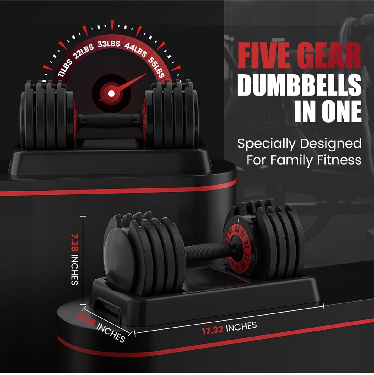 Gym Dynamx