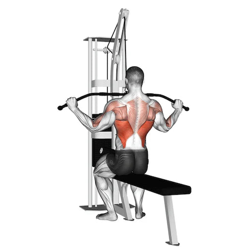 Gym Dynamx