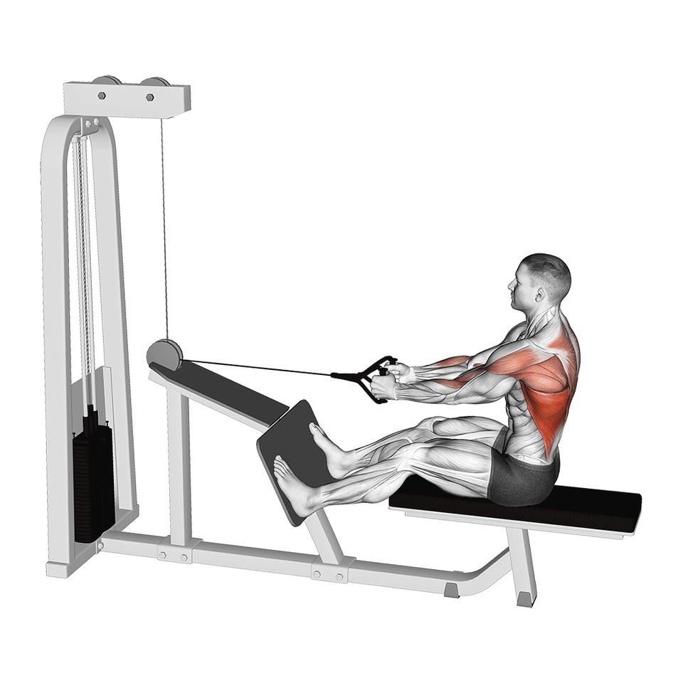 Gym Dynamx